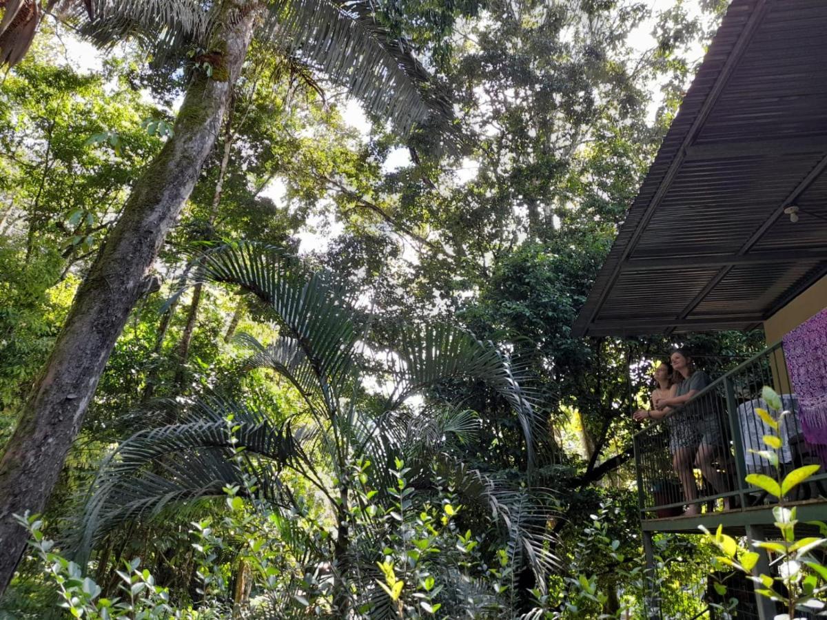 Apartamento Casa Escondida Jungle view #2 Manuel Antonio Exterior foto