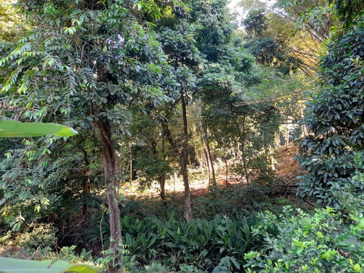 Apartamento Casa Escondida Jungle view #2 Manuel Antonio Exterior foto