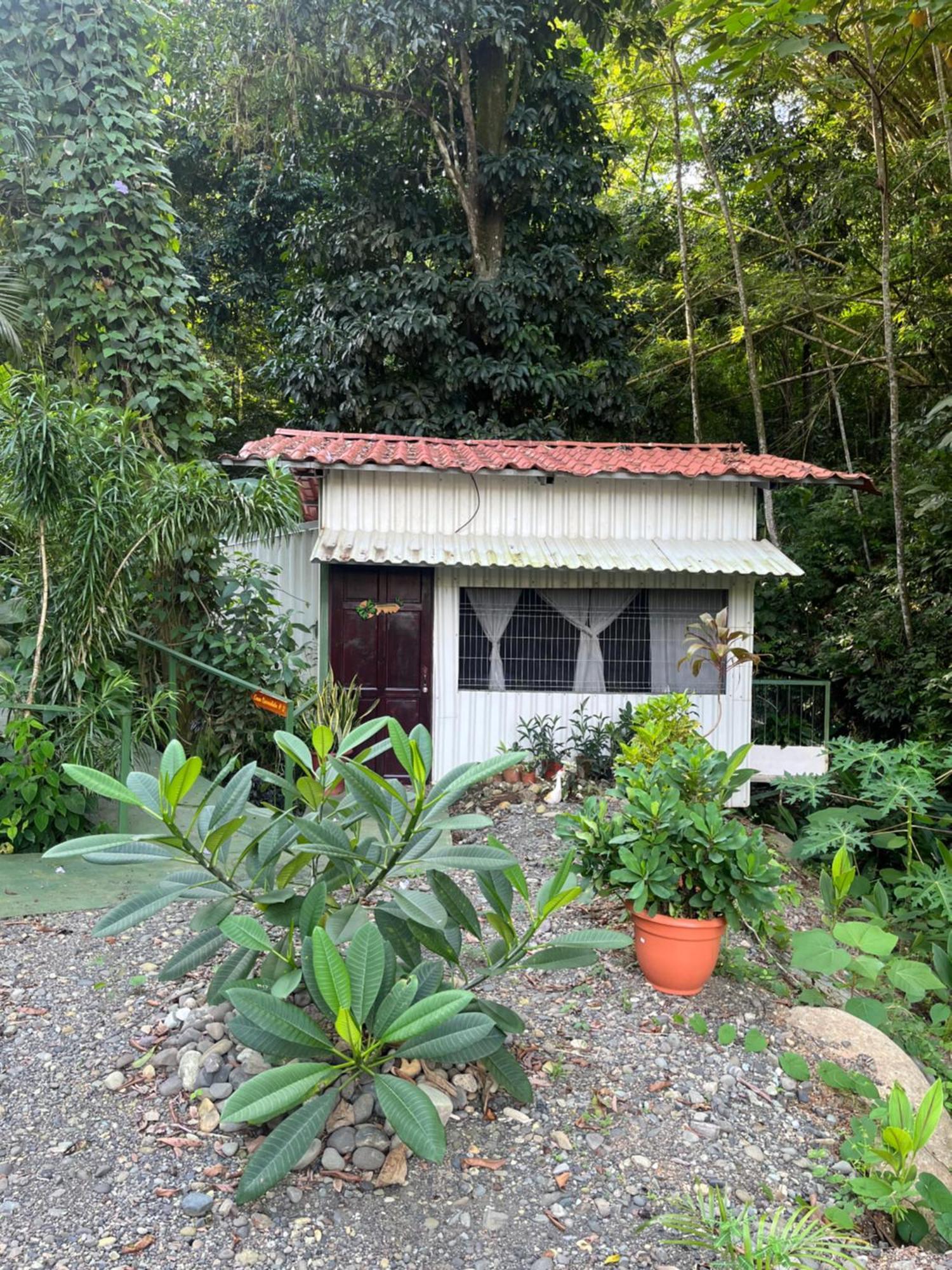 Apartamento Casa Escondida Jungle view #2 Manuel Antonio Exterior foto