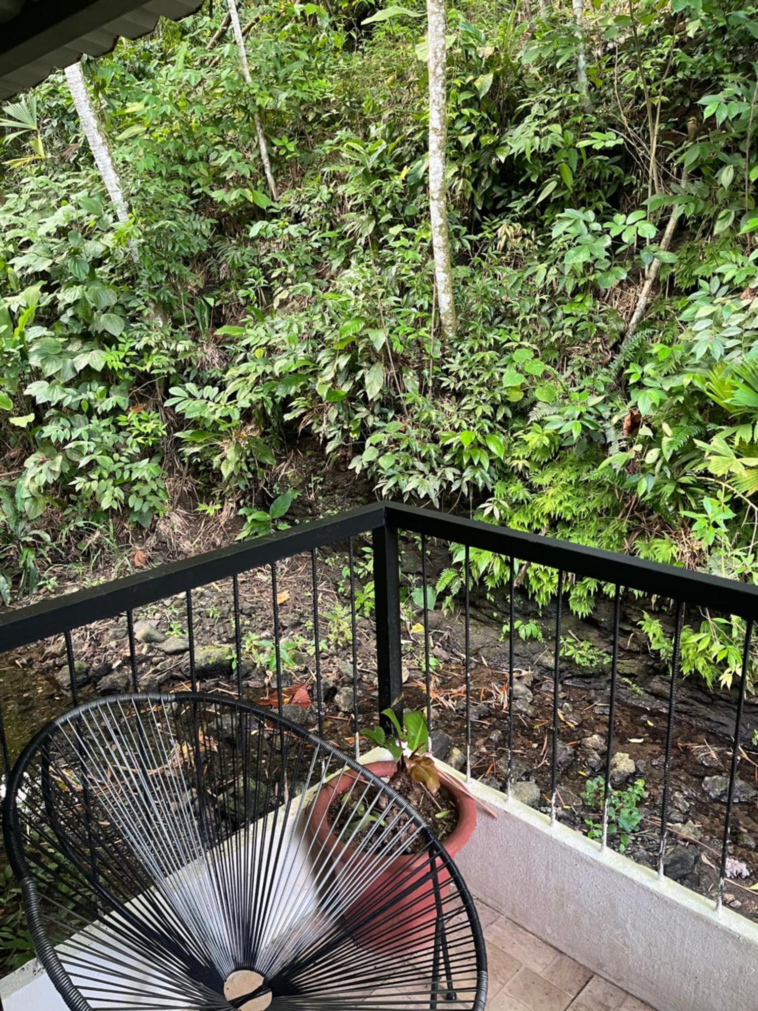Apartamento Casa Escondida Jungle view #2 Manuel Antonio Exterior foto
